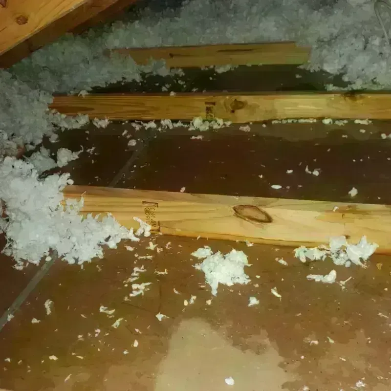 Attic Water Damage in DeSoto County, FL