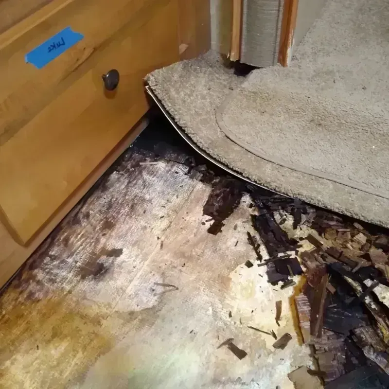 Wood Floor Water Damage in DeSoto County, FL